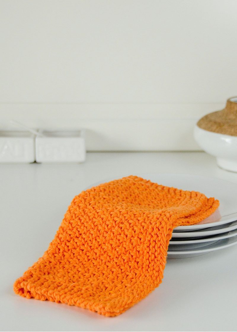 HomeCotton CarrotCakeDishcloth